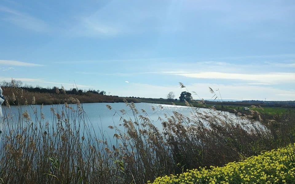 🌊 Tranquillità Assoluta